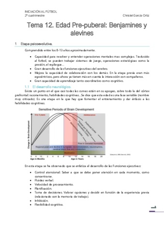 Tema-12-Benjamines-y-Alevines.pdf
