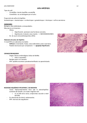 APA-Endocrino.pdf