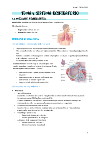 Apuntes-sistema-respiiratorio.pdf