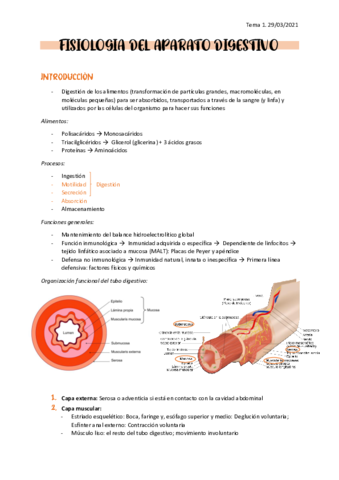 Apuntes-sistema-digestivo.pdf