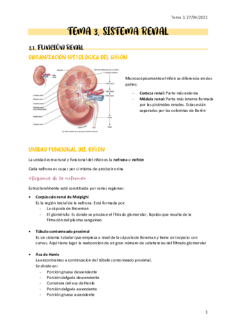 Apuntes-sistema-renal.pdf