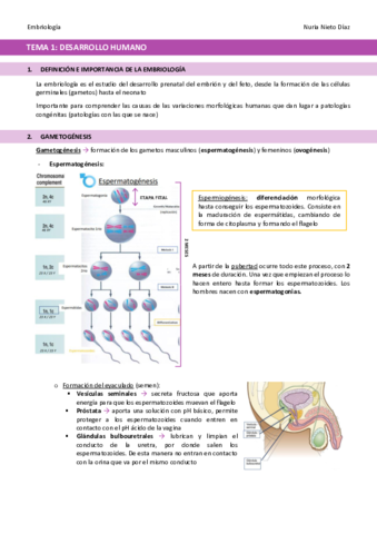 TEMA-1-Desarrollo-humano.pdf