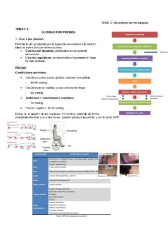 3.3 Úlceras por presión