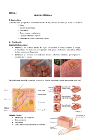 3.4 Lesiones térmicas