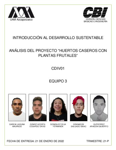 IDS-CDIV01-E3-PF.pdf