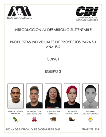 IDS-CDIV01-E3-PROPUESTA.pdf