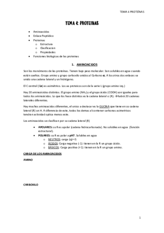 tema-4-proteinas.pdf