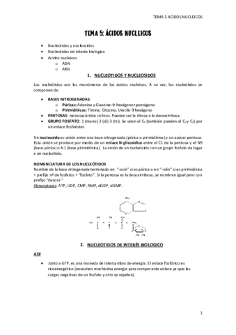 tema-5-acidos-nucleicos.pdf