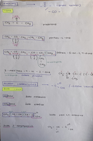 2A0917EF-D3A0-4B38-A93A-CF0894AF19EA.jpg