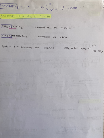D4E250B5-A120-422A-AE29-BA7269772983.jpg