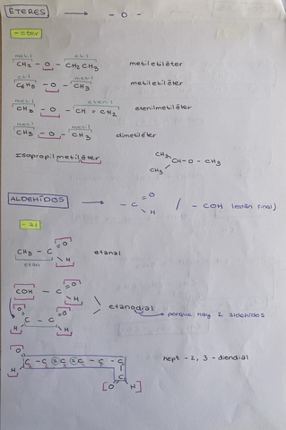 5F7C5998-7ECE-4B98-B5A8-2B7BD792FF04.jpg