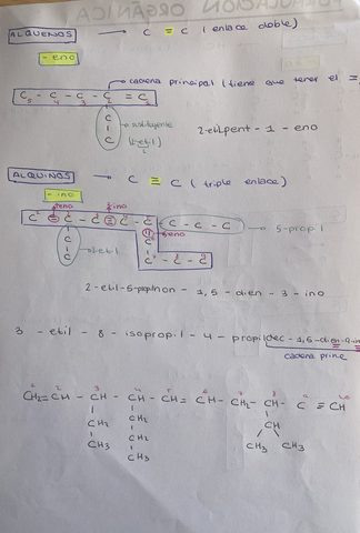 78018BD4-608E-4F9B-AA43-25BDE9E22DA4.jpg