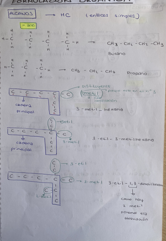 A4100FA7-3E3D-43AF-8608-367F10F643CE.jpg