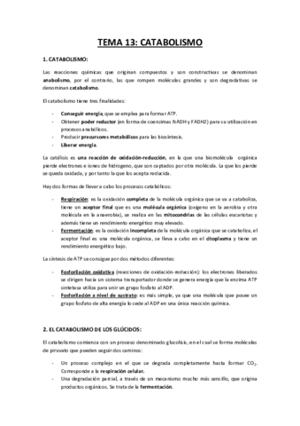TEMA-13-catabolismo.pdf