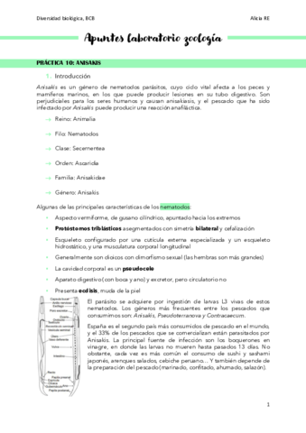 resumen-Laboratorio-diversidad-zoologia.pdf