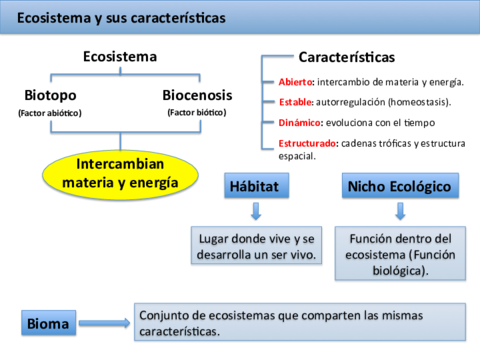 Tema-7-Estructura-y-dinamica-de-los-ecosistemas-Esquema-Resumen-.pdf