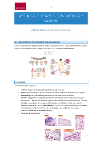 H-M3.pdf