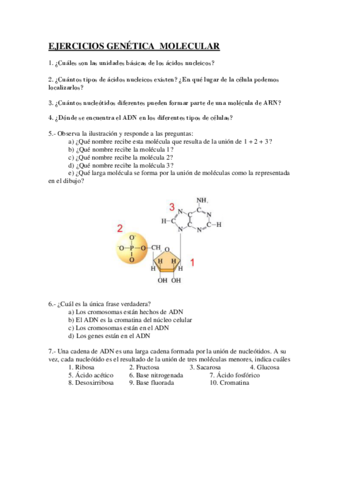 Ejercicios-Genética-Molecular.pdf