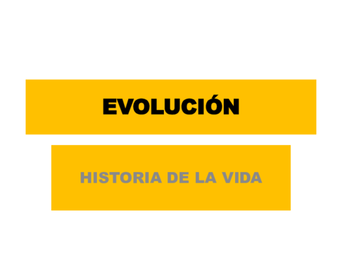 El origen de la vida y evolución.pdf