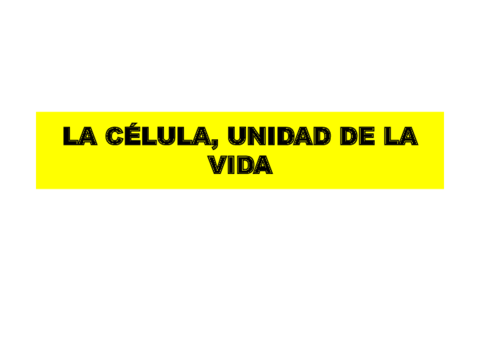 Biomoléculas y origen de la vida.pdf