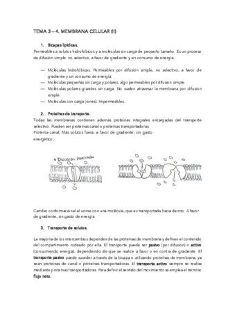 TEMA-3-4-.pdf