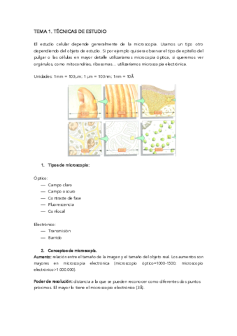 TEMA-1-.pdf