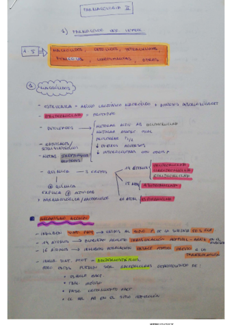 1-5-ANTIINFECCIOSOS-macrolidos.pdf