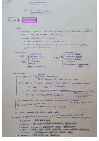 1-11-ANTIINFECCIOSOS-antivirales.pdf
