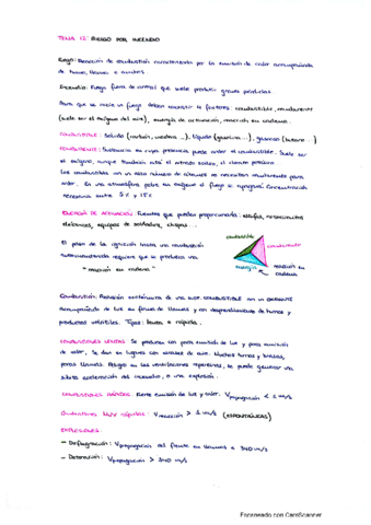 TEMA-12-Riesgo-INCENDIO3.pdf