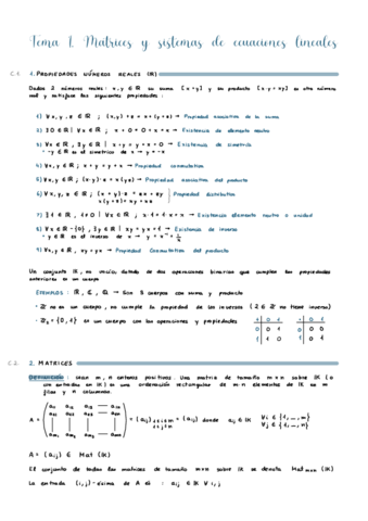 Al-Tema-1.pdf