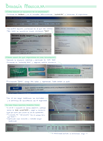 BiologiaMolecularchuletario.pdf