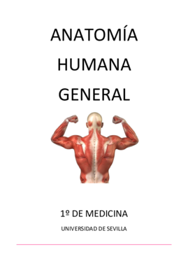 Anatomía Humana General Pdf