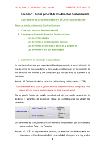 DERECHOS-FUNDAMENTALES-Y-GARANTIAS-CONSTITUCIONALES.pdf