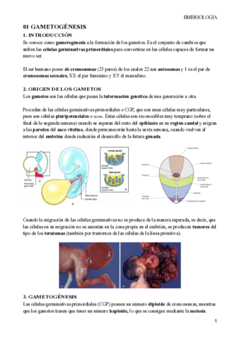 Embriologia-T1-T6-.pdf