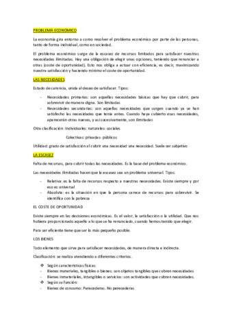 PROBLEMA-ECONOMICO.pdf