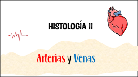 Histologia-arterias-y-venas.pdf