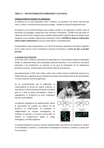 TEMA-17.pdf