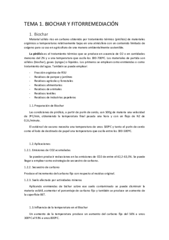 ResumenTemas.pdf