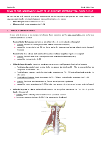 TEMA-27-Sistemas-neuromusculares-de-las-regiones-anterolaterales-del-cuello.pdf
