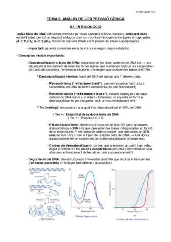 Apunts-Enginyeria-Genetica-Tema-5.pdf
