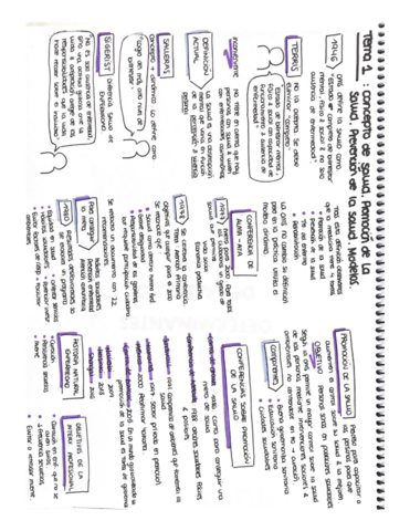 ESQUEMAS-PROMOCION-DE-LA-SALUD.pdf