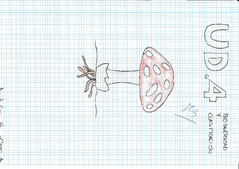 UD-4-Biodiversidad-y-clasificacionrotated.pdf