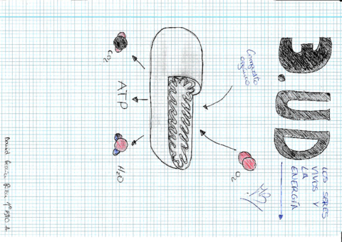 UD-3-Los-seres-vivos-y-la-energiarotated.pdf