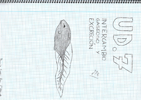 UD-7-Intercambio-gaseoso-y-excrecionrotated.pdf