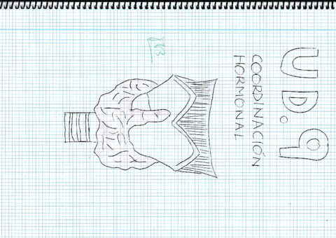UD-9-Coordinacion-hormonalrotated.pdf