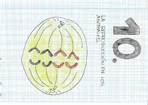 UD-10-La-reproduccion-en-los-animalesrotated.pdf