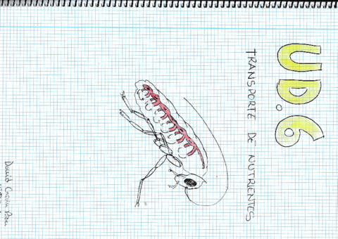 UD-6-Transporte-de-nutrientesrotated.pdf