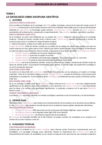 T1-SOCIOLOGIA-DE-LA-EMPRESA.pdf
