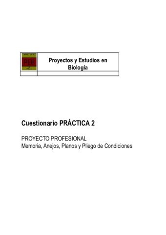 CUESTIONARIOPractica2BProyectoProfesional.pdf
