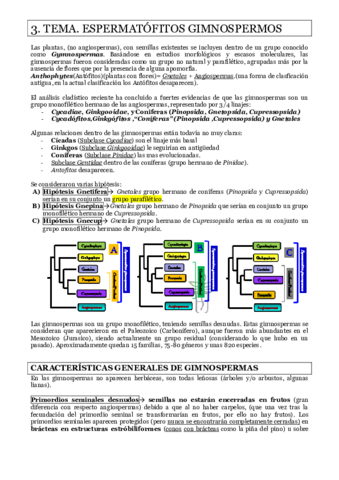 tema-3.pdf